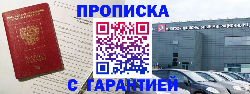 прописка поиск в Алейске